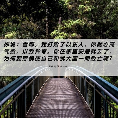 Picture 06 - 历 代 志 下 25:19 CUVS - 你 说 ： 看 哪 ， 我 打 败 了 以 东 - Bible Verse Picture