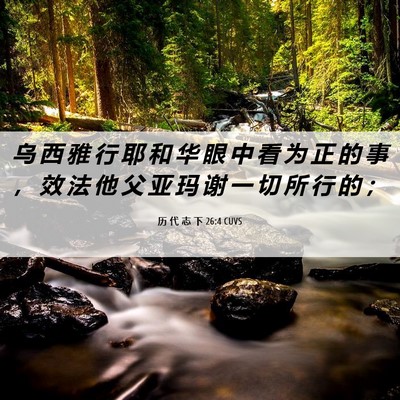 Picture 06 - 历 代 志 下 26:4 CUVS - 乌 西 雅 行 耶 和 华 眼 中 看 为 正 - Bible Verse Picture