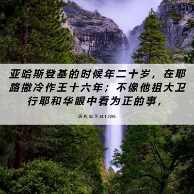 Picture 06 - 历 代 志 下 28:1 CUVS - 亚 哈 斯 登 基 的 时 候 年 二 十 岁 - Bible Verse Picture