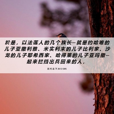 Picture 06 - 历 代 志 下 28:12 CUVS - 於 是 ， 以 法 莲 人 的 几 个 族 长 - Bible Verse Picture