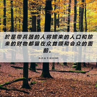 Picture 06 - 历 代 志 下 28:14 CUVS - 於 是 带 兵 器 的 人 将 掳 来 的 人 - Bible Verse Picture