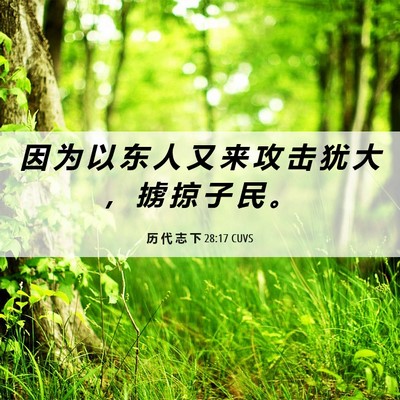 Picture 06 - 历 代 志 下 28:17 CUVS - 因 为 以 东 人 又 来 攻 击 犹 大 ， - Bible Verse Picture