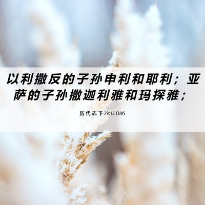 Picture 06 - 历 代 志 下 29:13 CUVS - 以 利 撒 反 的 子 孙 申 利 和 耶 利 - Bible Verse Picture