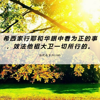 Picture 06 - 历 代 志 下 29:2 CUVS - 希 西 家 行 耶 和 华 眼 中 看 为 正 - Bible Verse Picture