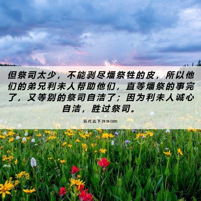 Picture 06 - 历 代 志 下 29:34 CUVS - 但 祭 司 太 少 ， 不 能 剥 尽 燔 祭 - Bible Verse Picture