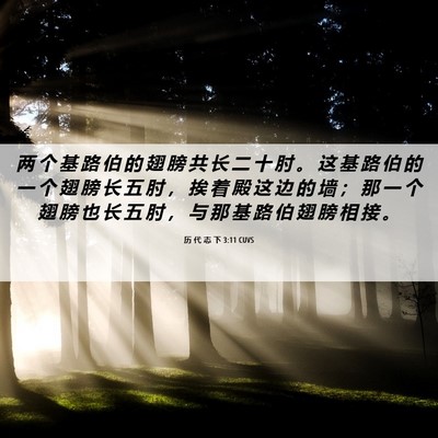 Picture 06 - 历 代 志 下 3:11 CUVS - 两 个 基 路 伯 的 翅 膀 共 长 二 十 - Bible Verse Picture