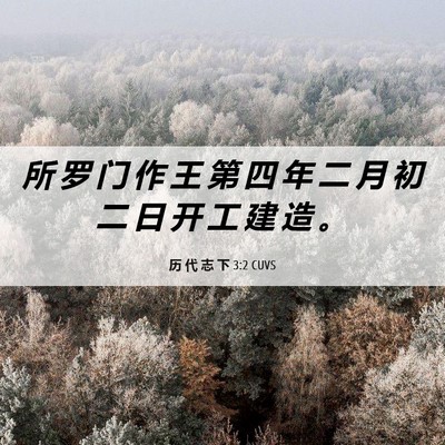 Picture 06 - 历 代 志 下 3:2 CUVS - 所 罗 门 作 王 第 四 年 二 月 初 二 - Bible Verse Picture