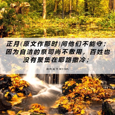 Picture 06 - 历 代 志 下 30:3 CUVS - 正 月 ( 原 文 作 那 时 ) 间 他 们 不 - Bible Verse Picture