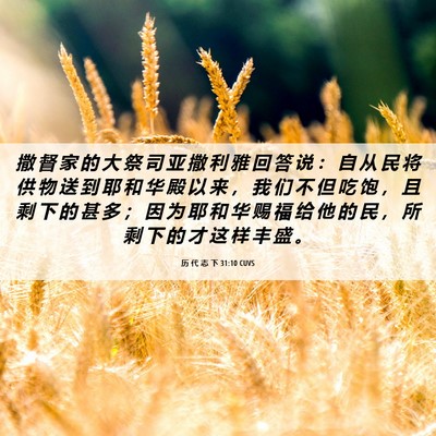 Picture 06 - 历 代 志 下 31:10 CUVS - 撒 督 家 的 大 祭 司 亚 撒 利 雅 回 - Bible Verse Picture