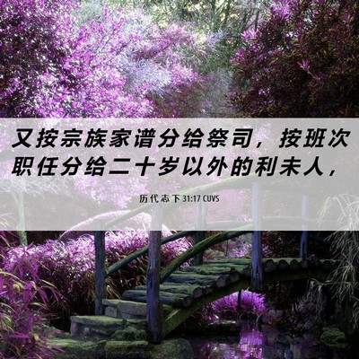 Picture 06 - 历 代 志 下 31:17 CUVS - 又 按 宗 族 家 谱 分 给 祭 司 ， 按 - Bible Verse Picture
