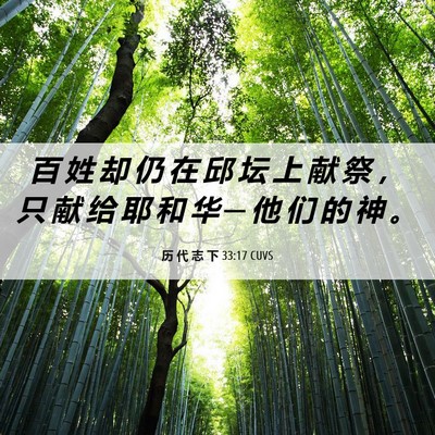 Picture 06 - 历 代 志 下 33:17 CUVS - 百 姓 却 仍 在 邱 坛 上 献 祭 ， 只 - Bible Verse Picture