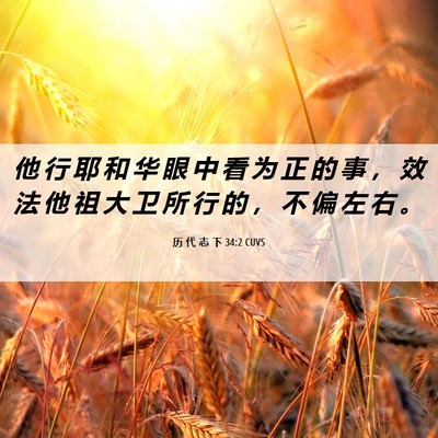 Picture 06 - 历 代 志 下 34:2 CUVS - 他 行 耶 和 华 眼 中 看 为 正 的 事 - Bible Verse Picture