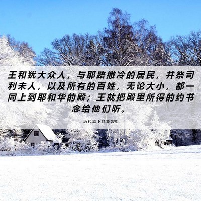 Picture 06 - 历 代 志 下 34:30 CUVS - 王 和 犹 大 众 人 ， 与 耶 路 撒 冷 - Bible Verse Picture