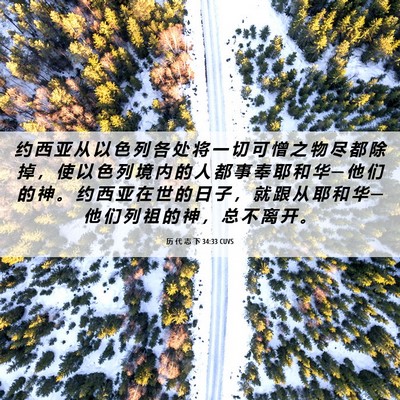 Picture 06 - 历 代 志 下 34:33 CUVS - 约 西 亚 从 以 色 列 各 处 将 一 切 - Bible Verse Picture