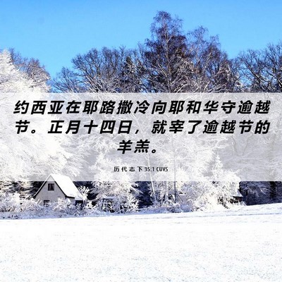 Picture 06 - 历 代 志 下 35:1 CUVS - 约 西 亚 在 耶 路 撒 冷 向 耶 和 华 - Bible Verse Picture