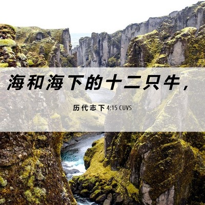Picture 06 - 历 代 志 下 4:15 CUVS - 海 和 海 下 的 十 二 只 牛 - Bible Verse Picture