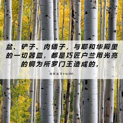 Picture 06 - 历 代 志 下 4:16 CUVS - 盆 、 铲 子 、 肉 锸 子 ， 与 耶 和 - Bible Verse Picture