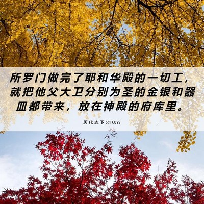 Picture 06 - 历 代 志 下 5:1 CUVS - 所 罗 门 做 完 了 耶 和 华 殿 的 一 - Bible Verse Picture