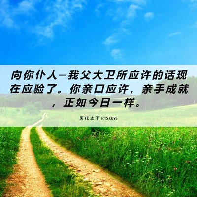 Picture 06 - 历 代 志 下 6:15 CUVS - 向 你 仆 人 ─ 我 父 大 卫 所 应 许 - Bible Verse Picture