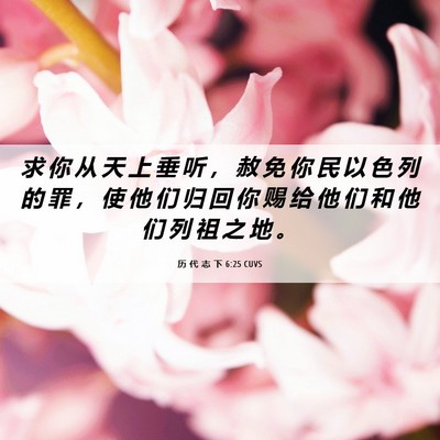 Picture 06 - 历 代 志 下 6:25 CUVS - 求 你 从 天 上 垂 听 ， 赦 免 你 民 - Bible Verse Picture