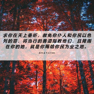 Picture 06 - 历 代 志 下 6:27 CUVS - 求 你 在 天 上 垂 听 ， 赦 免 你 仆 - Bible Verse Picture