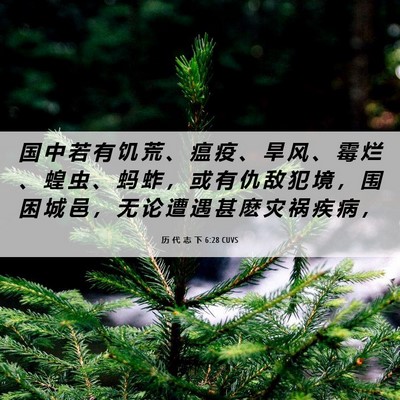 Picture 06 - 历 代 志 下 6:28 CUVS - 国 中 若 有 饥 荒 、 瘟 疫 、 旱 风 - Bible Verse Picture
