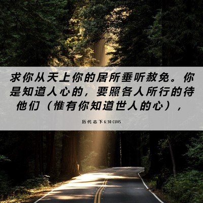Picture 06 - 历 代 志 下 6:30 CUVS - 求 你 从 天 上 你 的 居 所 垂 听 赦 - Bible Verse Picture