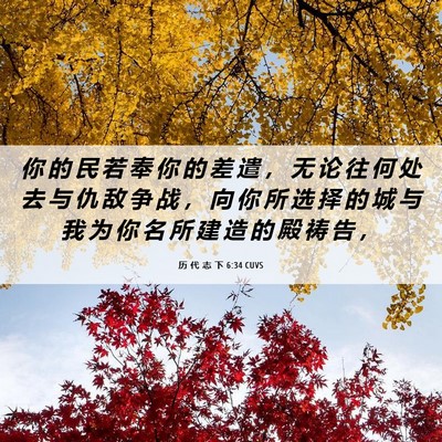 Picture 06 - 历 代 志 下 6:34 CUVS - 你 的 民 若 奉 你 的 差 遣 ， 无 论 - Bible Verse Picture