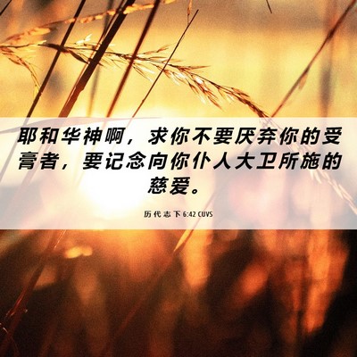 Picture 06 - 历 代 志 下 6:42 CUVS - 耶 和 华 神 啊 ， 求 你 不 要 厌 弃 - Bible Verse Picture