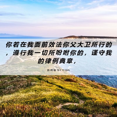 Picture 06 - 历 代 志 下 7:17 CUVS - 你 若 在 我 面 前 效 法 你 父 大 卫 - Bible Verse Picture