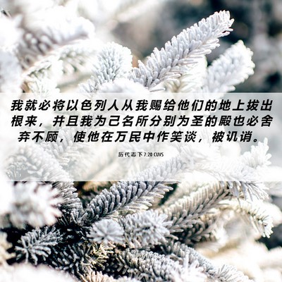 Picture 06 - 历 代 志 下 7:20 CUVS - 我 就 必 将 以 色 列 人 从 我 赐 给 - Bible Verse Picture