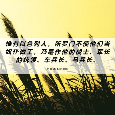 Picture 06 - 历 代 志 下 8:9 CUVS - 惟 有 以 色 列 人 ， 所 罗 门 不 使 - Bible Verse Picture