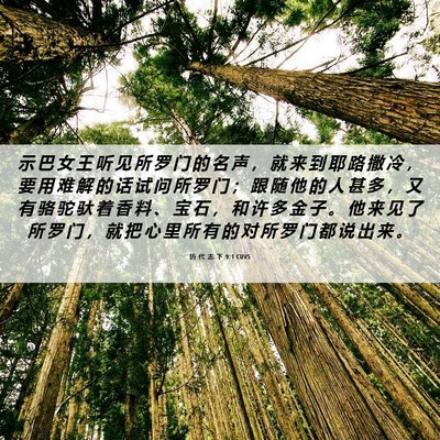 Picture 06 - 历 代 志 下 9:1 CUVS - 示 巴 女 王 听 见 所 罗 门 的 名 声 - Bible Verse Picture