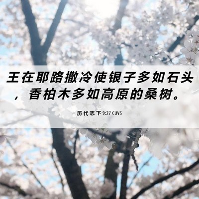 Picture 06 - 历 代 志 下 9:27 CUVS - 王 在 耶 路 撒 冷 使 银 子 多 如 石 - Bible Verse Picture
