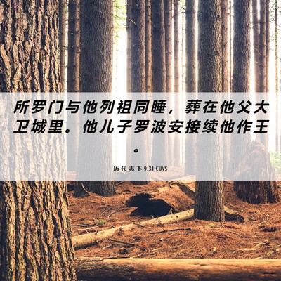 Picture 06 - 历 代 志 下 9:31 CUVS - 所 罗 门 与 他 列 祖 同 睡 ， 葬 在 - Bible Verse Picture