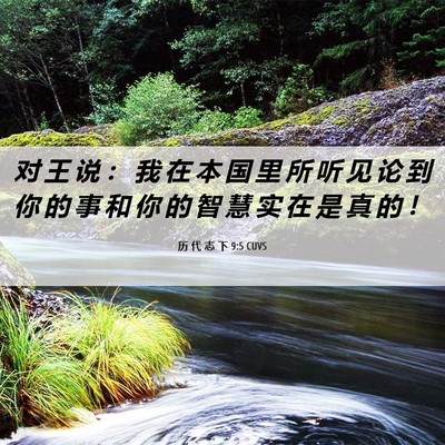 Picture 06 - 历 代 志 下 9:5 CUVS - 对 王 说 ： 我 在 本 国 里 所 听 见 - Bible Verse Picture