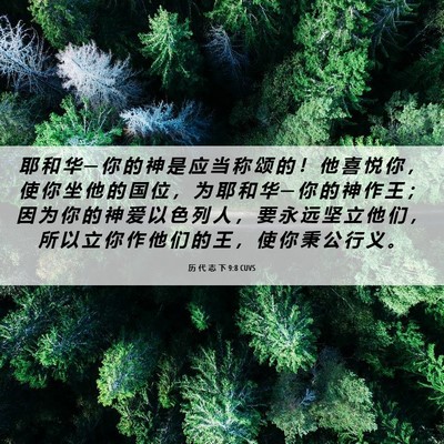 Picture 06 - 历 代 志 下 9:8 CUVS - 耶 和 华 ─ 你 的 神 是 应 当 称 颂 - Bible Verse Picture