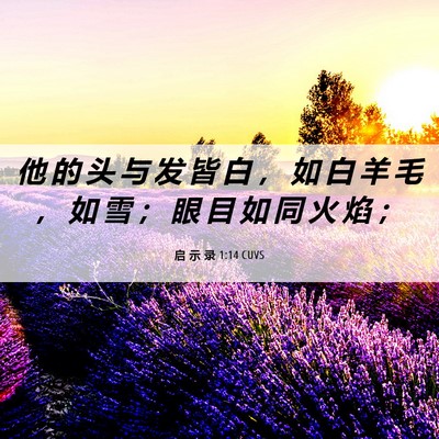Picture 06 - 启 示 录 1:14 CUVS - 他 的 头 与 发 皆 白 ， 如 白 羊 毛 - Bible Verse Picture