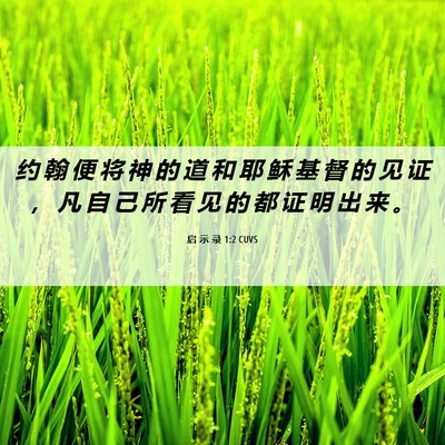 Picture 06 - 启 示 录 1:2 CUVS - 约 翰 便 将 神 的 道 和 耶 稣 基 督 - Bible Verse Picture