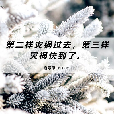 Picture 06 - 启 示 录 11:14 CUVS - 第 二 样 灾 祸 过 去 ， 第 三 样 灾 - Bible Verse Picture