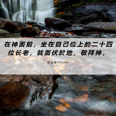 Picture 06 - 启 示 录 11:16 CUVS - 在 神 面 前 ， 坐 在 自 己 位 上 的 - Bible Verse Picture