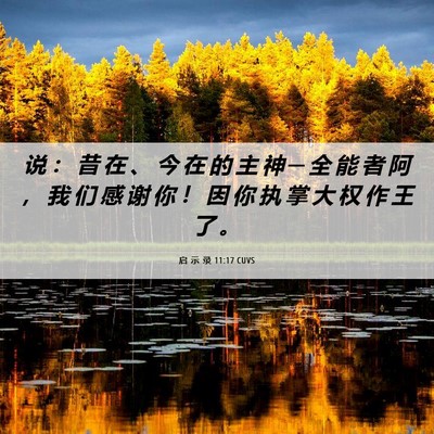 Picture 06 - 启 示 录 11:17 CUVS - 说 ： 昔 在 、 今 在 的 主 神 ─ 全 - Bible Verse Picture