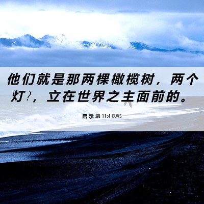 Picture 06 - 启 示 录 11:4 CUVS - 他 们 就 是 那 两 棵 橄 榄 树 ， 两 - Bible Verse Picture