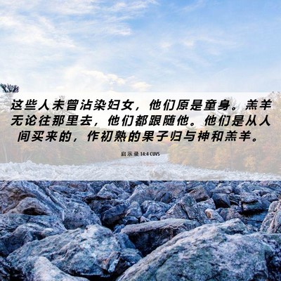 Picture 06 - 启 示 录 14:4 CUVS - 这 些 人 未 曾 沾 染 妇 女 ， 他 们 - Bible Verse Picture