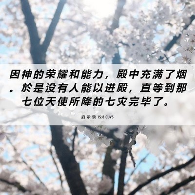 Picture 06 - 启 示 录 15:8 CUVS - 因 神 的 荣 耀 和 能 力 ， 殿 中 充 - Bible Verse Picture