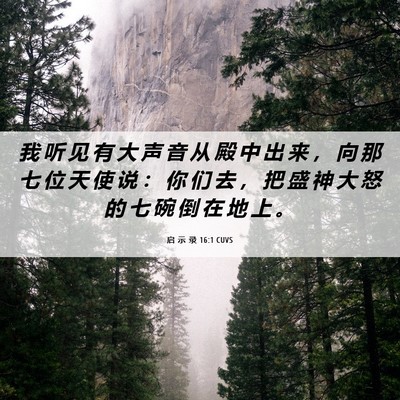 Picture 06 - 启 示 录 16:1 CUVS - 我 听 见 有 大 声 音 从 殿 中 出 来 - Bible Verse Picture