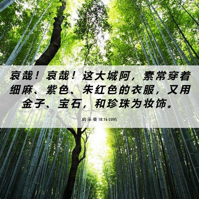 Picture 06 - 启 示 录 18:16 CUVS - 哀 哉 ！ 哀 哉 ！ 这 大 城 阿 ， 素 - Bible Verse Picture