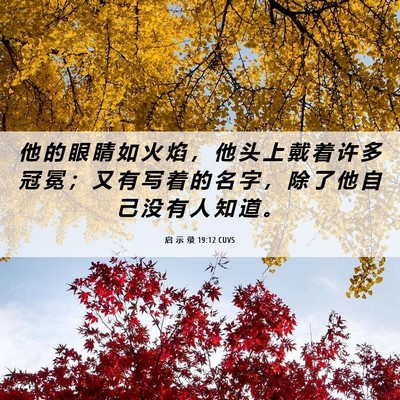 Picture 06 - 启 示 录 19:12 CUVS - 他 的 眼 睛 如 火 焰 ， 他 头 上 戴 - Bible Verse Picture