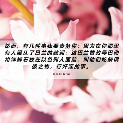 Picture 06 - 启 示 录 2:14 CUVS - 然 而 ， 有 几 件 事 我 要 责 备 你 - Bible Verse Picture