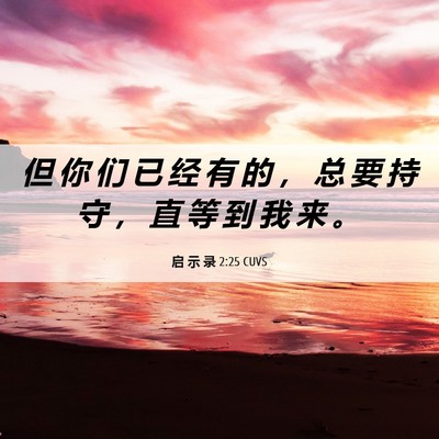 Picture 06 - 启 示 录 2:25 CUVS - 但 你 们 已 经 有 的 ， 总 要 持 守 - Bible Verse Picture
